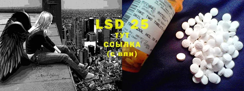 hydra как войти  Камышин  LSD-25 экстази ecstasy 