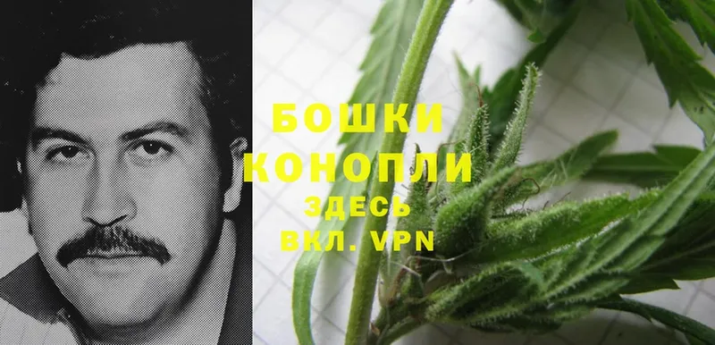 Каннабис Ganja  omg ссылки  Камышин  закладки 